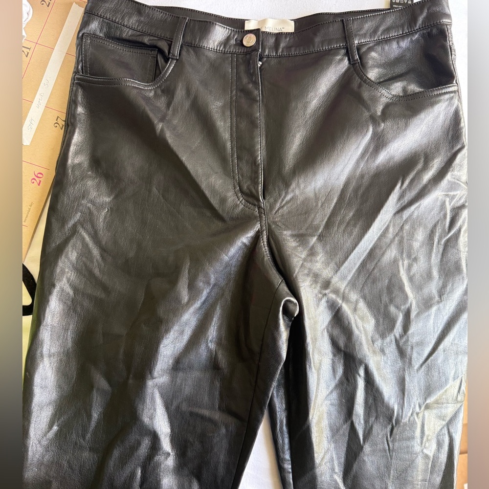 Iconic The Melina Aritzia faux leather pants 16 worn once